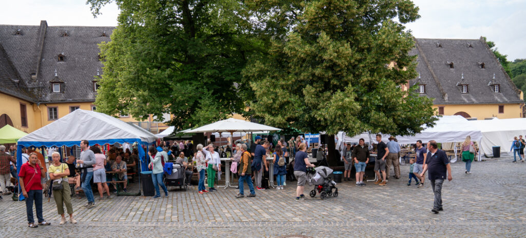 Trotz des angekündigten Regens herrschte im Innenhof von Schloss Vollrads ein reges Besuchertreiben. Foto: Markus Stifter